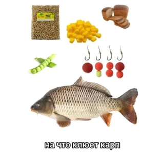 🐟 emoji Последняя обнова Telegram sticker 19 of 32