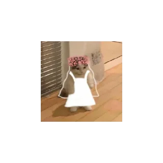 👰 emoji X-tra Telegram sticker 8 of 31