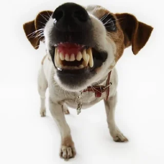 🌟 emoji Для важных переговоров Telegram sticker 23 of 27