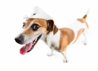 🌟 emoji Для важных переговоров Telegram sticker 22 of 27