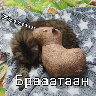 🤝 emoji Капибара @bloptop Telegram sticker 20 of 33