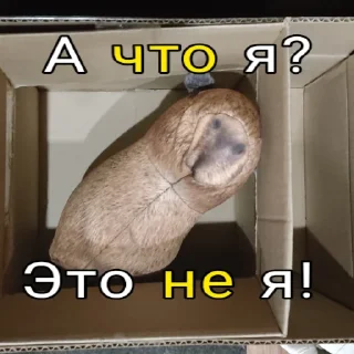 ❌ emoji Капибара @bloptop Telegram sticker 21 of 33