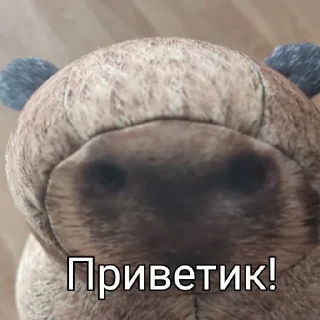 👋 emoji Капибара @bloptop Telegram sticker 8 of 33