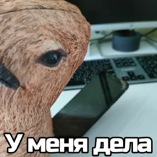 💰 emoji Капибара @bloptop Telegram sticker 10 of 33
