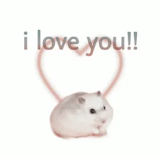 🧥 emoji #rose meme «🧥 by @lumicore_present Telegram sticker 4 of 28