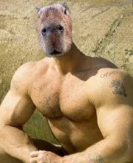 💪 emoji Мятеж капибар Telegram sticker 1 of 15