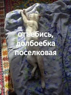 🤬 emoji Яша и его фразы Telegram sticker 12 of 15