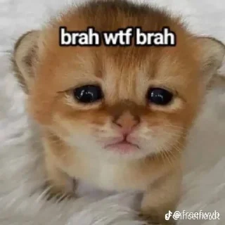 😭 emoji PeiseUserRats Telegram sticker 21 of 50