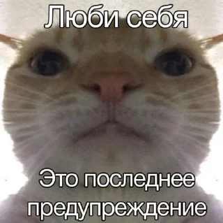 Sticker from его разум затуманен мыслями об ультранасилии