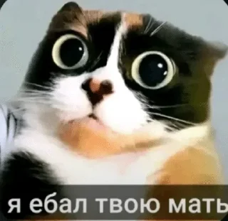 Sticker from наикрутейшесть