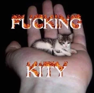🌟 emoji kiseakiskis Telegram sticker 17 of 38
