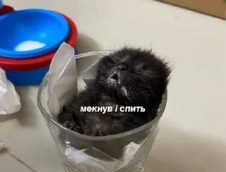 сухарик sticker 3