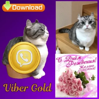 😋 emoji Komaru Gold @komaru_GIF Telegram sticker 5 of 20