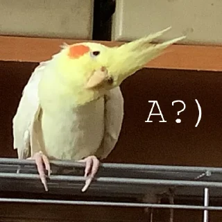 😀 emoji Яша💛 Telegram sticker 16 of 20