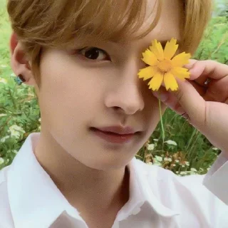 🥱 emoji Kpop Telegram sticker 10 of 30