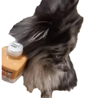 🥺 emoji baribro Telegram sticker 23 of 37