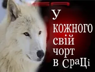 Sticker from пес би тобі бороду лизав