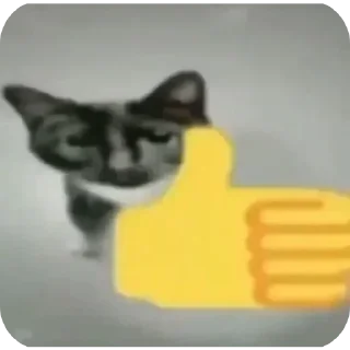 Sticker from r/SillyGirlClub