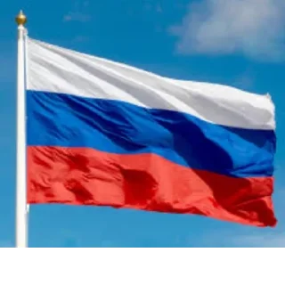 🇷🇺 emoji Мои стикеры Telegram sticker 10 of 12