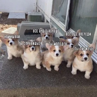 🌟 emoji Комфортик Telegram sticker 22 of 57