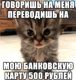 🌟 emoji котытытытыт Telegram sticker 23 of 80