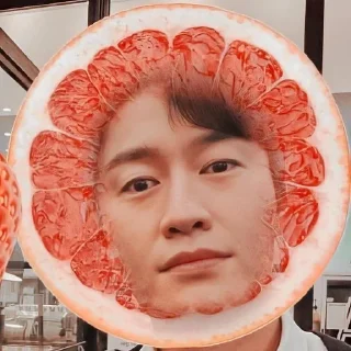 🍈 emoji археоптерикс Telegram sticker 5 of 11