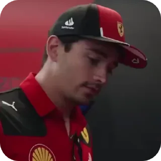 😨 emoji f1 grid like a totem animals Telegram sticker 7 of 94