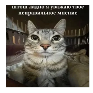 🫥 emoji найлох стикс Telegram sticker 18 of 120