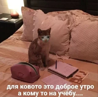 🌟 emoji Kot..s Telegram sticker 13 of 63