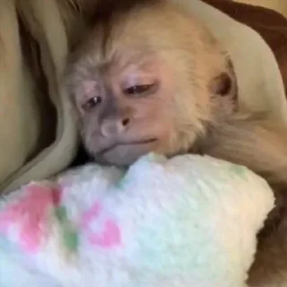 🥱 emoji стикеры для емілі Telegram sticker 18 of 85