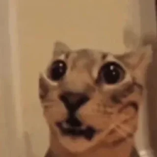 😧 emoji еміля стікери Telegram sticker 1 of 120