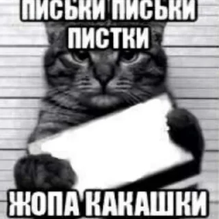 😇 emoji насрал бляя @nyawc Telegram sticker 21 of 77