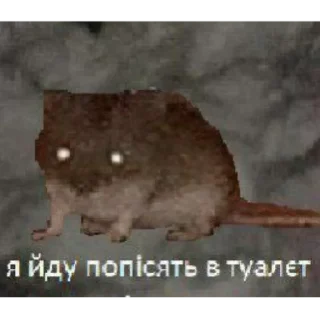 😅 emoji насрал бляя @nyawc Telegram sticker 18 of 77