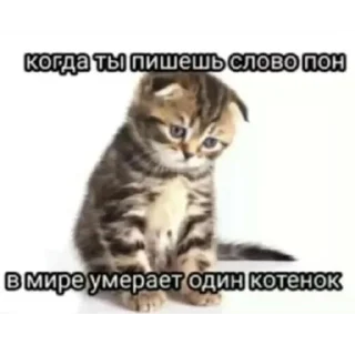 😢 emoji насрал бляя @nyawc Telegram sticker 22 of 77