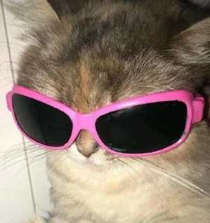 😎 emoji котики лины Telegram sticker 17 of 25