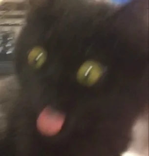 🤮 emoji котики лины Telegram sticker 16 of 25