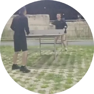 🏓 emoji SulinDvizhVideokarta Telegram sticker 20 of 28