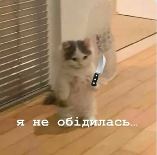 Sticker from фразочки