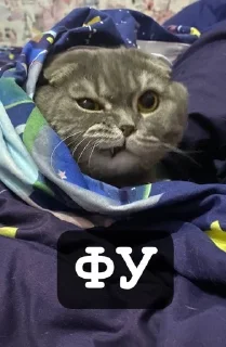 🥴 emoji Бонстер Telegram sticker 14 of 25