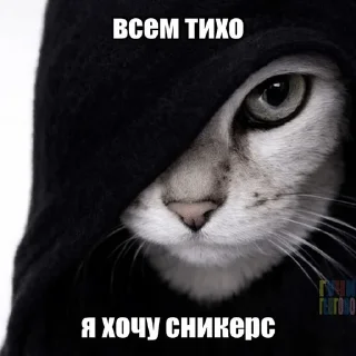 🌟 emoji Ми Telegram sticker 11 of 61