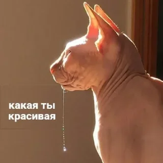 🤤 emoji для важных переговоров Telegram sticker 24 of 120