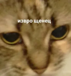 😤 emoji для важных переговоров Telegram sticker 21 of 120