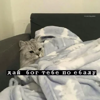 😤 emoji для важных переговоров Telegram sticker 16 of 120