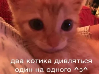 👀 emoji рандом Telegram sticker 8 of 18