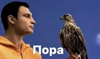 ⌚ emoji рандом Telegram sticker 15 of 18