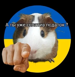 😑 emoji Стікерпак великого Дімона І Telegram sticker 10 of 33