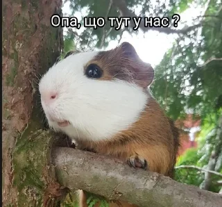 🙃 emoji Стікерпак великого Дімона І Telegram sticker 19 of 33