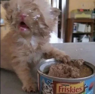 🤢 emoji cvts Telegram sticker 14 of 45