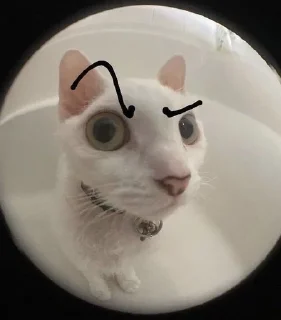 🤨 emoji kitoki Telegram sticker 12 of 32
