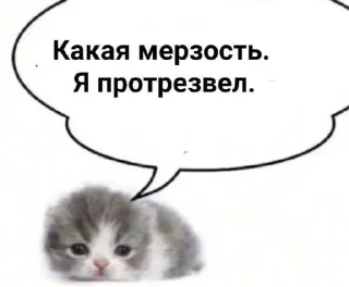 Sticker from котыбля